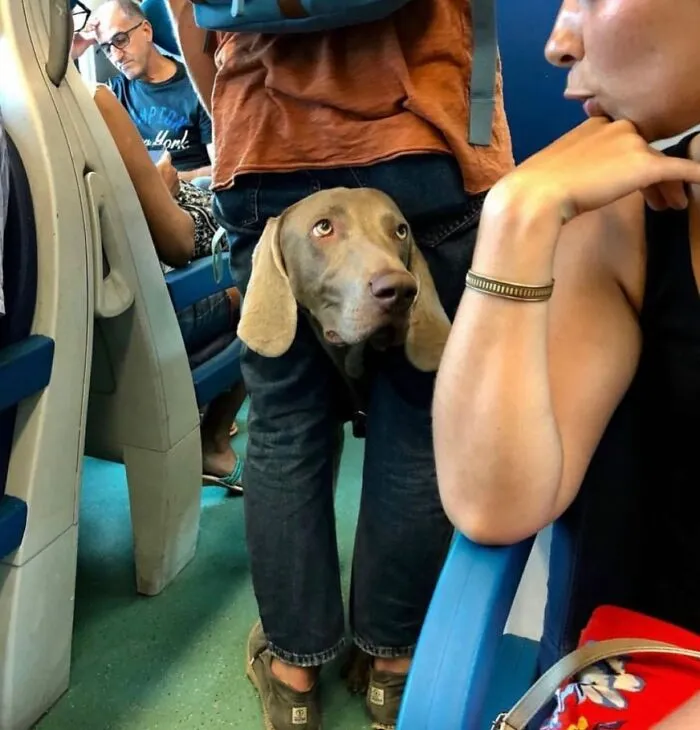 Una cuenta de Instagram sube fotografías urbanas que captan incidentes y encuentros aleatorios dentro de lugares públicos (30 nuevas fotos)