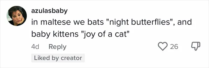 50 Times Non-Native English Speakers Tried To Say Something And It Came Out In Funny And Sweet 'Translations'