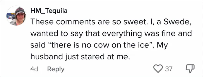 50 Times Non-Native English Speakers Tried To Say Something And It Came Out In Funny And Sweet 'Translations'