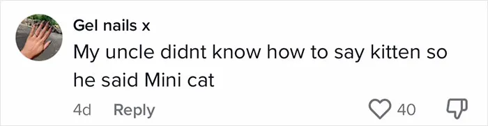 50 Times Non-Native English Speakers Tried To Say Something And It Came Out In Funny And Sweet 'Translations'