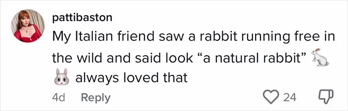 50 Times Non-Native English Speakers Tried To Say Something And It Came Out In Funny And Sweet 'Translations'
