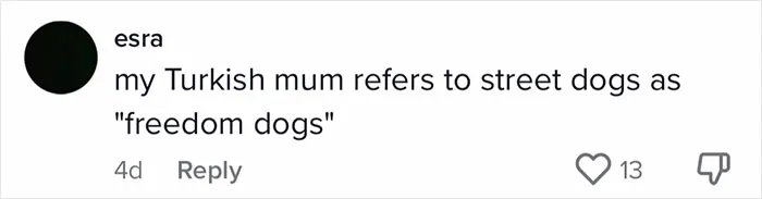 50 Times Non-Native English Speakers Tried To Say Something And It Came Out In Funny And Sweet 'Translations'
