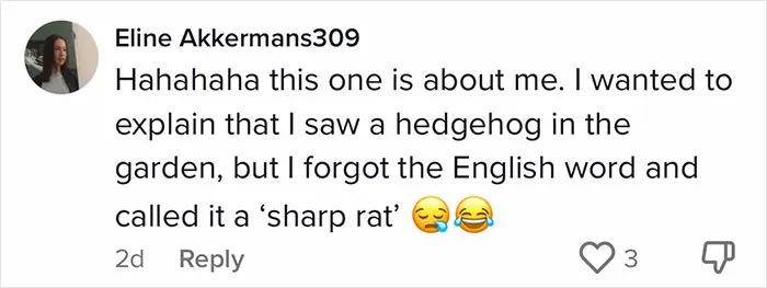 50 Times Non-Native English Speakers Tried To Say Something And It Came Out In Funny And Sweet 'Translations'