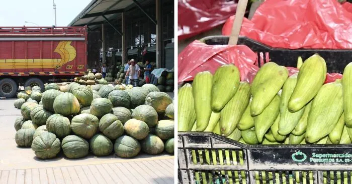 I Photographed A Day At A Wholesale Market In Lima, Peru (36 Pics)
