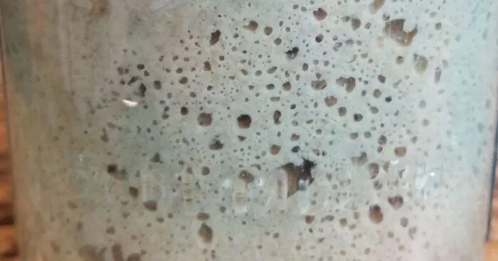 Hey Pandas, Show Me Your Finest Feat Of Fermentation (Closed)