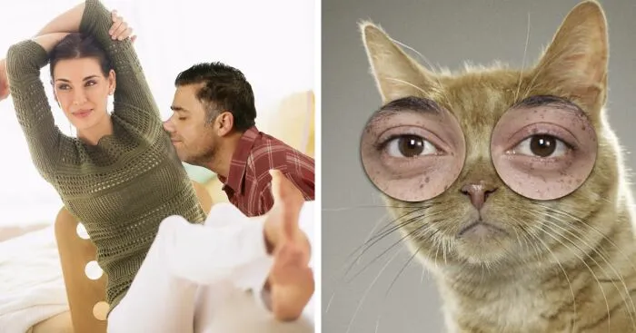 Hey Pandas, Find The Funniest Stock Photo On The Internet (Closed)