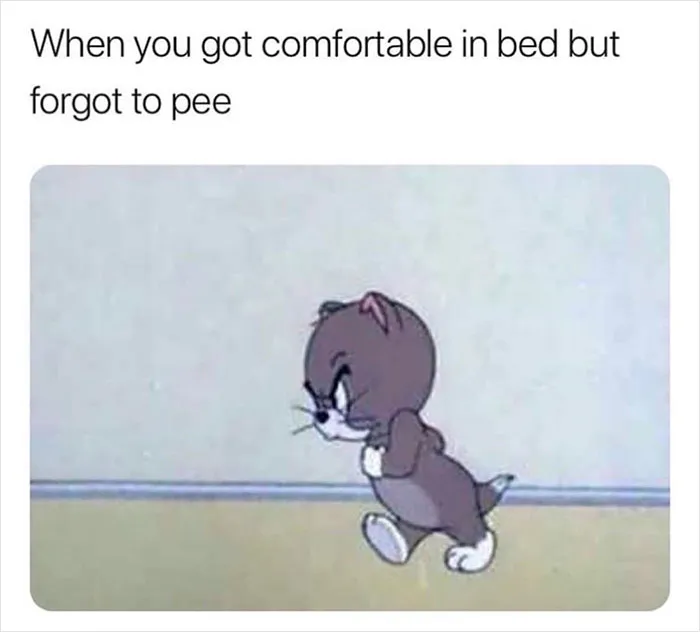People Are Cracking Up At These 30 Memes That Represent Real Womanhood
