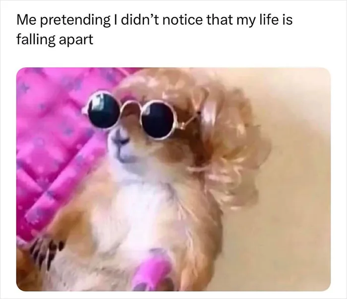 People Are Cracking Up At These 30 Memes That Represent Real Womanhood