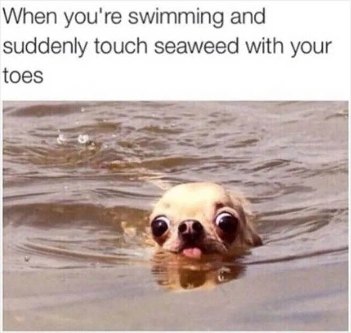 People Are Cracking Up At These 30 Memes That Represent Real Womanhood