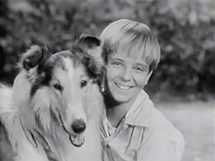 Tommy Rettig