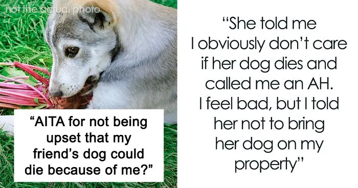 "I've Heard She Plans To Sue Me For Her Vet Bills": Guest Brings Her Dog To A Party Without Permission, Blames It On The Hostess When He Gets Seriously Sick