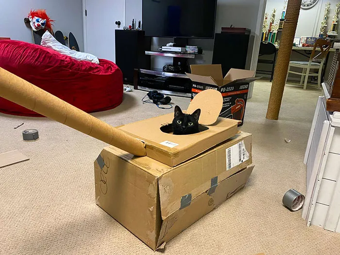 Mi padre me envió esta foto de un tanque que hizo para su gato