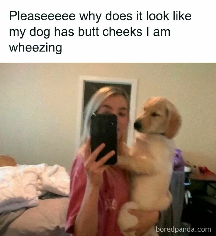 50 Hilarious Memes To Both Heal You And Make You Worse, Courtesy Of ‘Animal Memeposting’