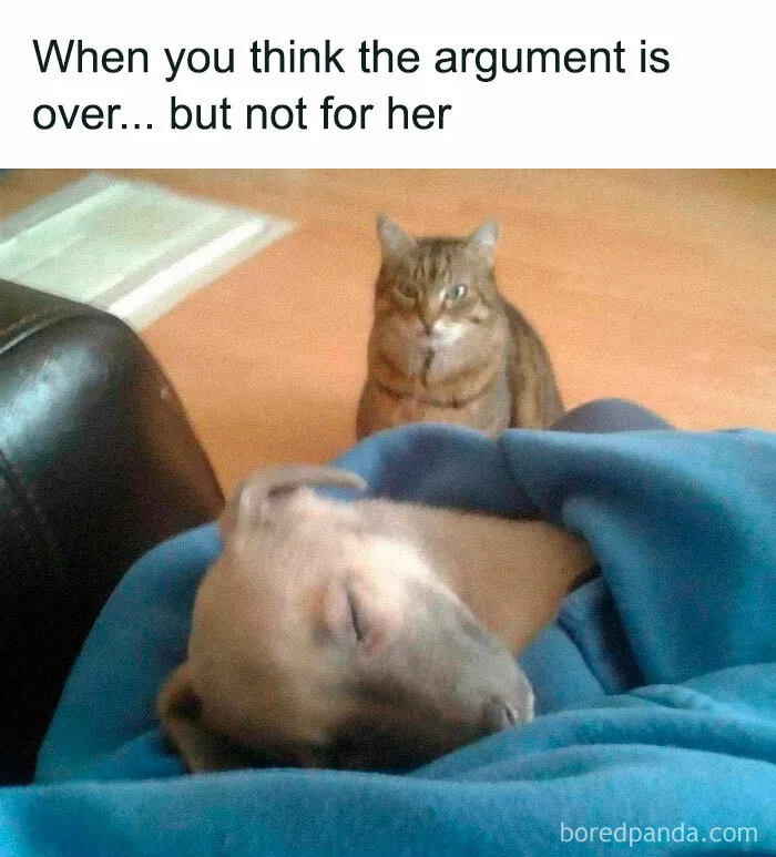 50 Hilarious Memes To Both Heal You And Make You Worse, Courtesy Of ‘Animal Memeposting’