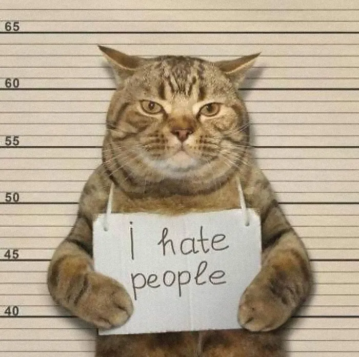 50 Hilarious Memes To Both Heal You And Make You Worse, Courtesy Of ‘Animal Memeposting’