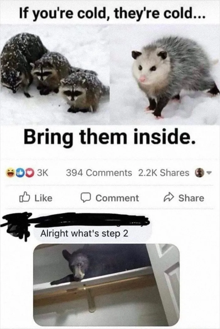 50 Hilarious Memes To Both Heal You And Make You Worse, Courtesy Of ‘Animal Memeposting’