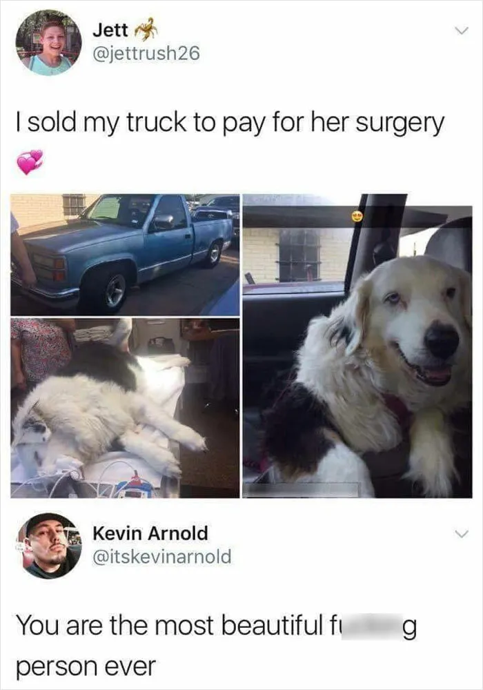 50 Hilarious Memes To Both Heal You And Make You Worse, Courtesy Of ‘Animal Memeposting’