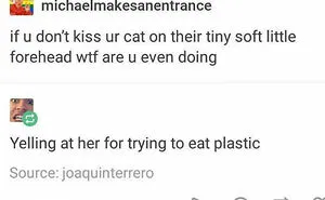 50 Hilarious Memes To Both Heal You And Make You Worse, Courtesy Of ‘Animal Memeposting’