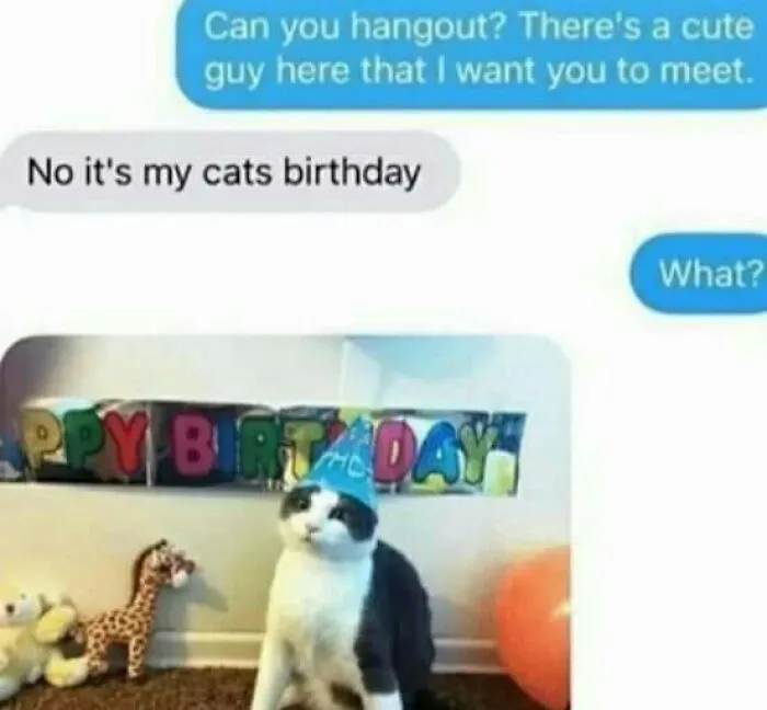 50 Hilarious Memes To Both Heal You And Make You Worse, Courtesy Of ‘Animal Memeposting’