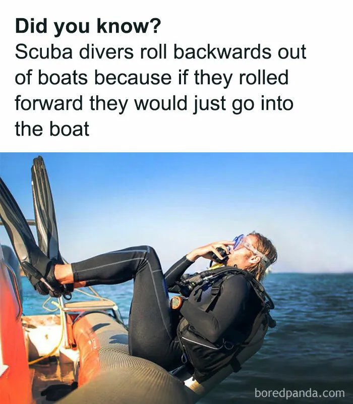 50 Funny Brain Memes That Might Get You Thinking