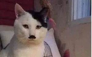 50 Funny Brain Memes That Might Get You Thinking