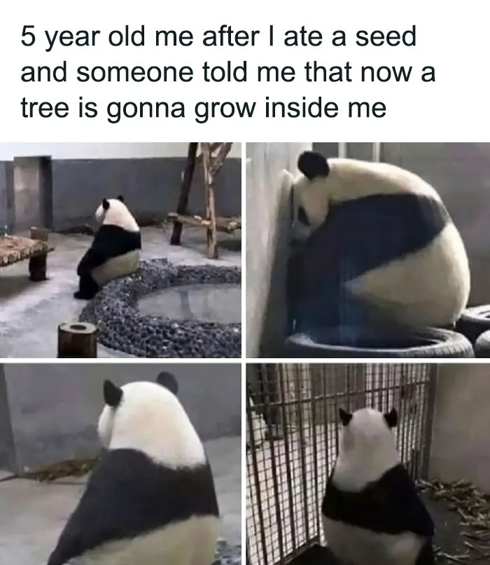 50 Funny Brain Memes That Might Get You Thinking