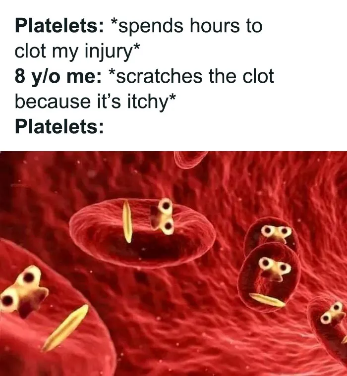 Funny-Brainy-Memes