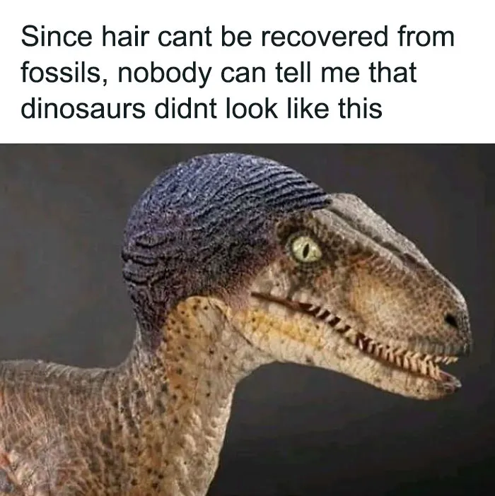 50 Funny Brain Memes That Might Get You Thinking