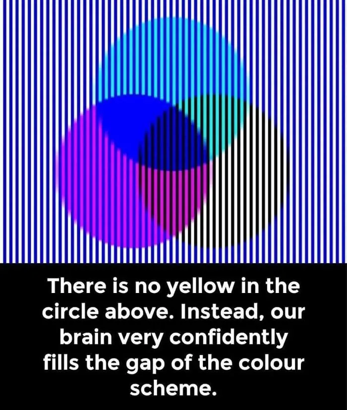 50 Funny Brain Memes That Might Get You Thinking