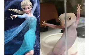 40 Disney Memes That Hit Way Too Close To Home