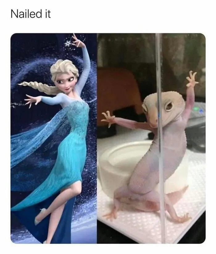 40 Disney Memes That Hit Way Too Close To Home