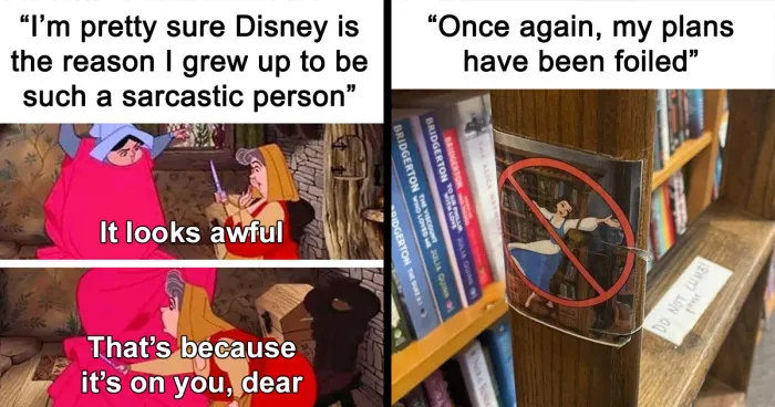 40 Disney Memes That Hit Way Too Close To Home