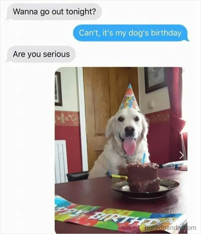 This Facebook Page Is All About Relatable Dog Memes, Here Are 50 Of The Best Pics