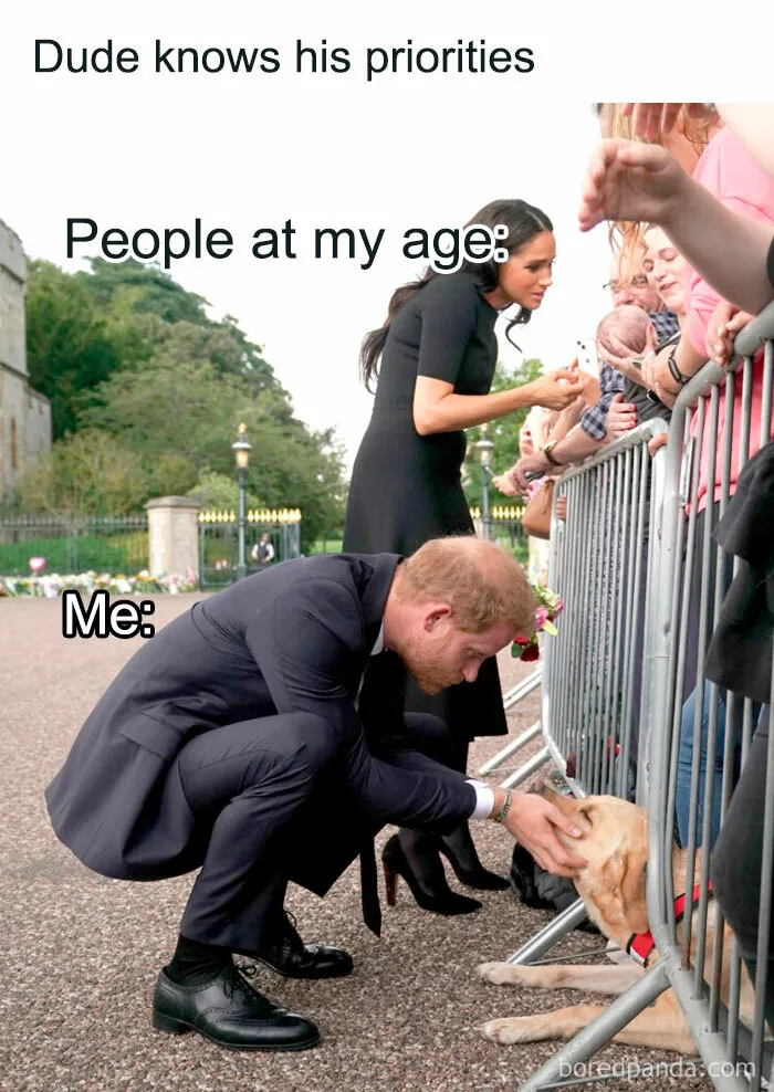 This Facebook Page Is All About Relatable Dog Memes, Here Are 50 Of The Best Pics