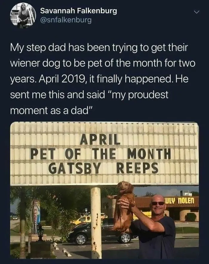 This Facebook Page Is All About Relatable Dog Memes, Here Are 50 Of The Best Pics