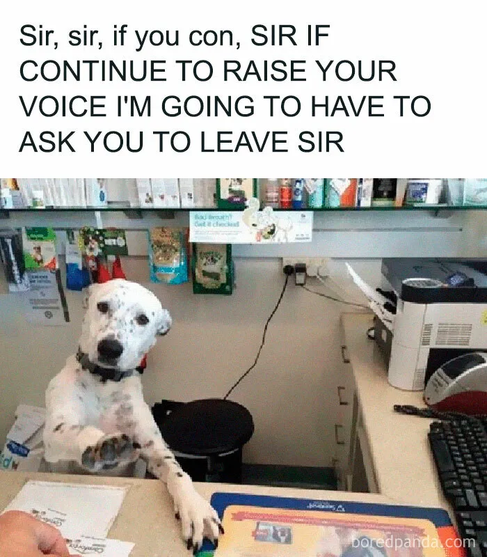 This Facebook Page Is All About Relatable Dog Memes, Here Are 50 Of The Best Pics