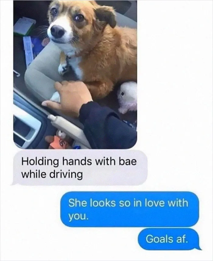 This Facebook Page Is All About Relatable Dog Memes, Here Are 50 Of The Best Pics