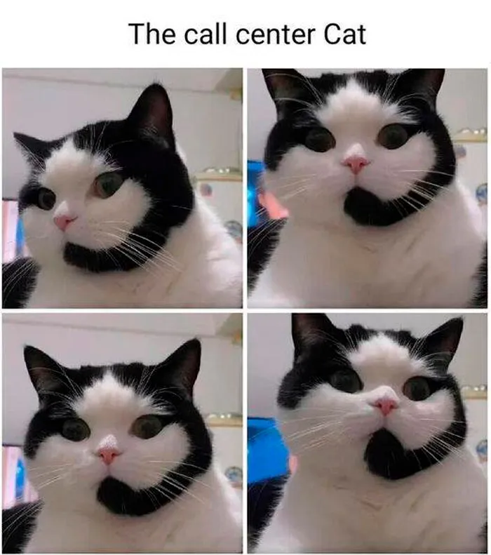 30 Of The Funniest Posts From The ‘IT Humor And Memes’ Facebook Group (New Pics)