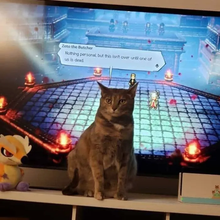 Me 5 Mins Late Feeding My Cat