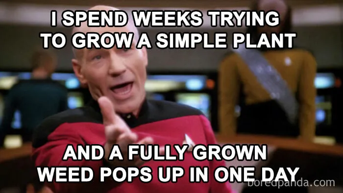 30 Hilarious Memes That Might Hit Too Close To Home For People Who Can't Just Go Past A Plant