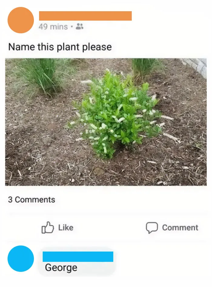 30 Hilarious Memes That Might Hit Too Close To Home For People Who Can't Just Go Past A Plant