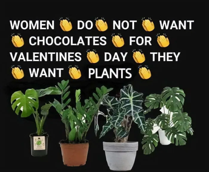 30 Hilarious Memes That Might Hit Too Close To Home For People Who Can't Just Go Past A Plant