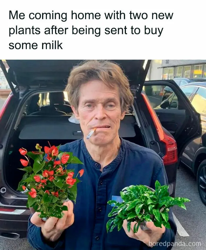 30 Hilarious Memes That Might Hit Too Close To Home For People Who Can't Just Go Past A Plant