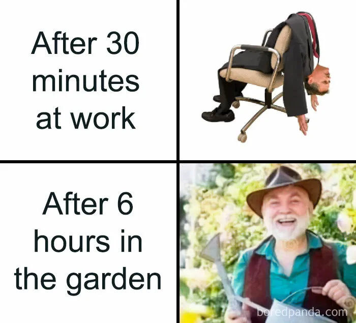 30 Hilarious Memes That Might Hit Too Close To Home For People Who Can't Just Go Past A Plant