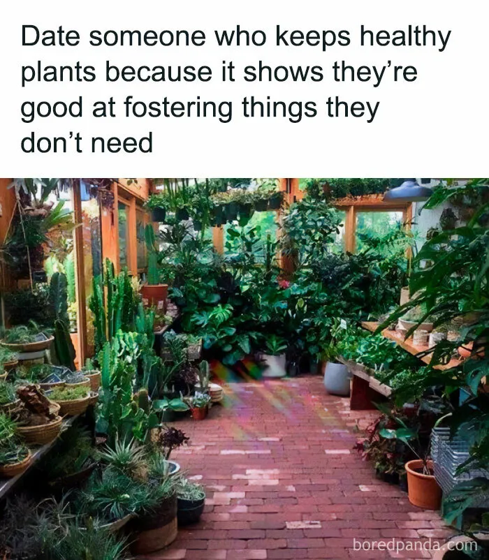 30 Hilarious Memes That Might Hit Too Close To Home For People Who Can't Just Go Past A Plant