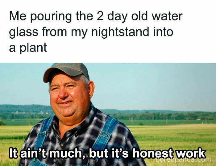 30 Hilarious Memes That Might Hit Too Close To Home For People Who Can't Just Go Past A Plant