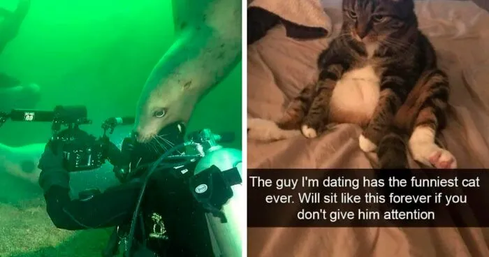 50 Times Animals Acted So Hilariously Devious, They Ended Up Being Shared On The "Animals Going Goblin Mode" Twitter Account (New Pics)