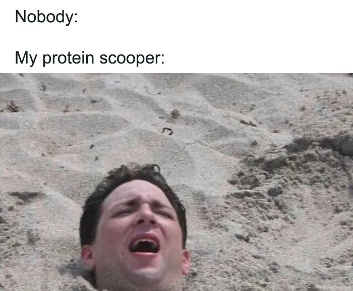 78 Gym Memes That Only True Gym Rats Can Relate To