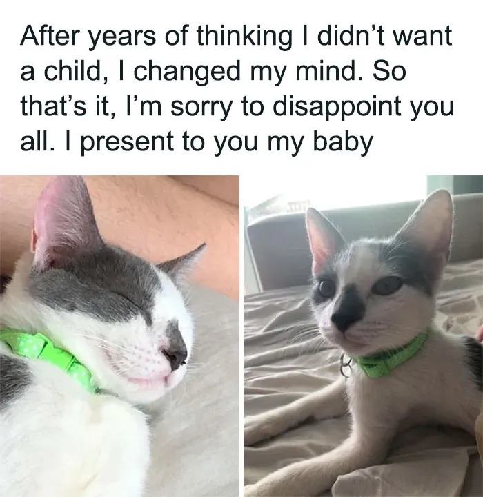 No Kids, No Problem: 40 Hilariously Spot-On Memes And Jokes About The Childfree Life (New Pics)