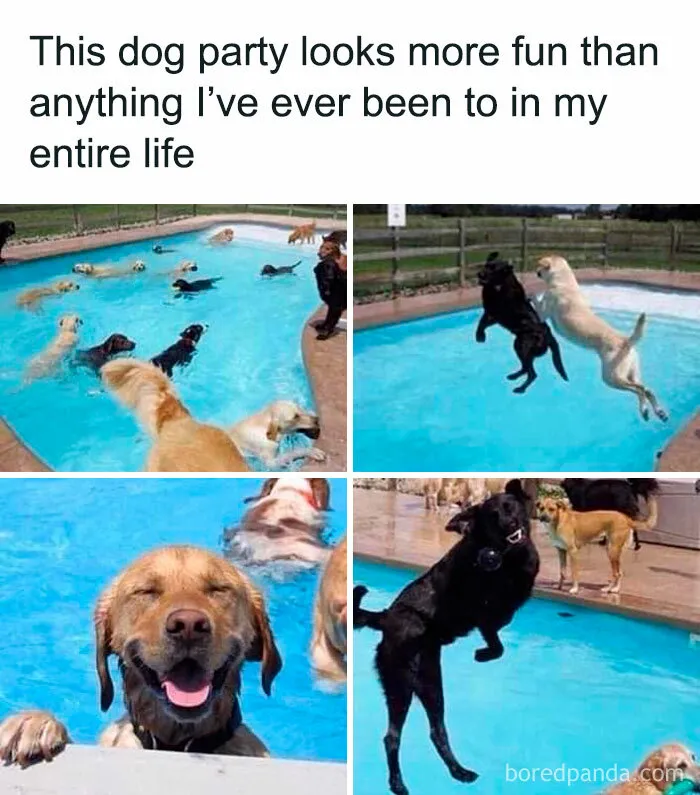 50 Sarcastic Memes You Might Really Appreciate
